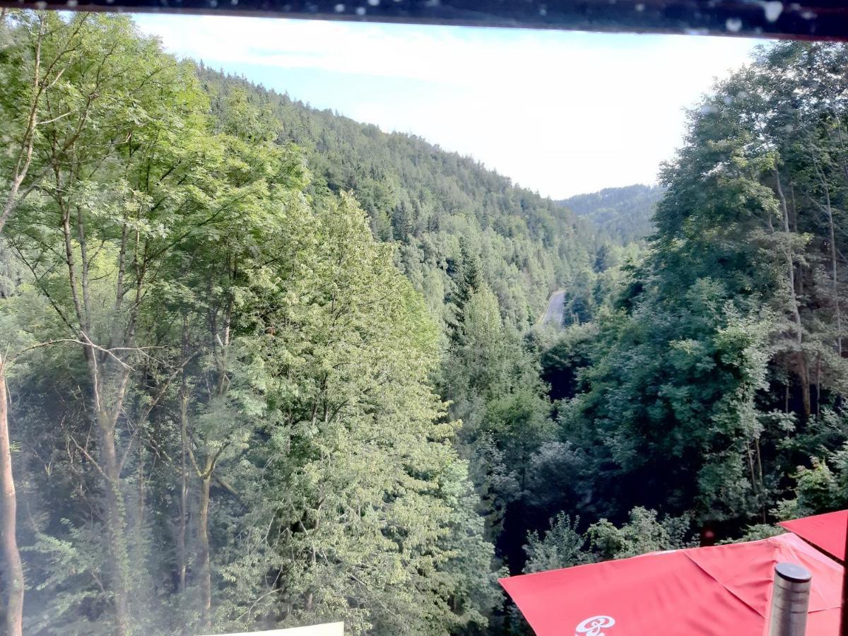 Guest house A Restaurace Belveder Romantico, Mini-zoo, Free Parking Jachymov