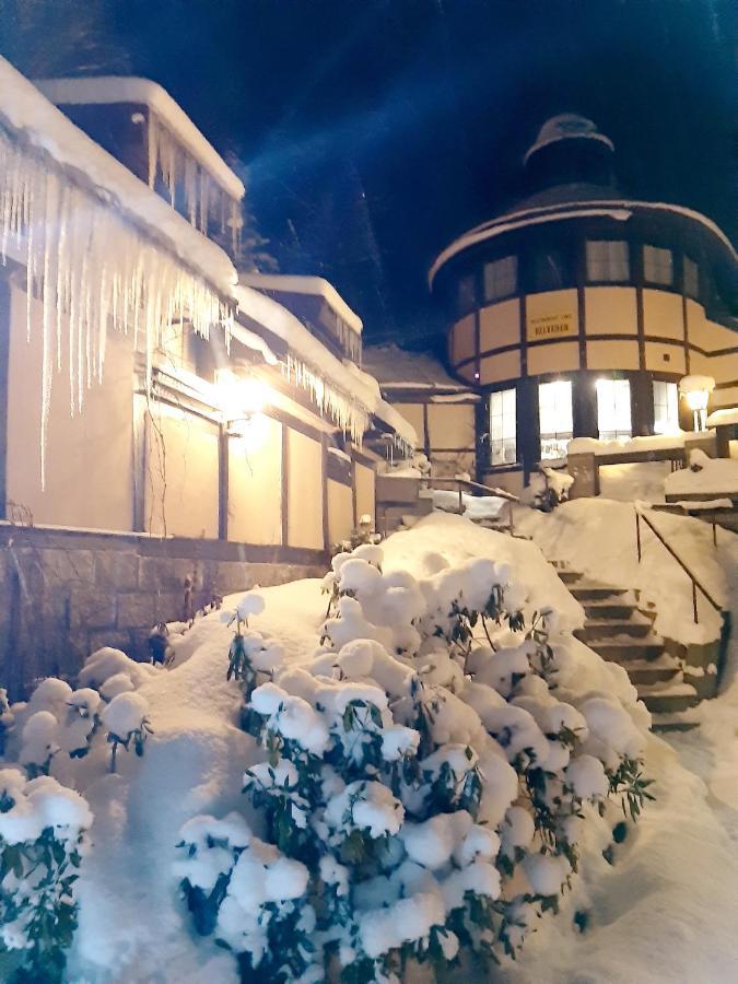 A Restaurace Belveder Romantico, Mini-zoo, Free Parking Guest house Jachymov