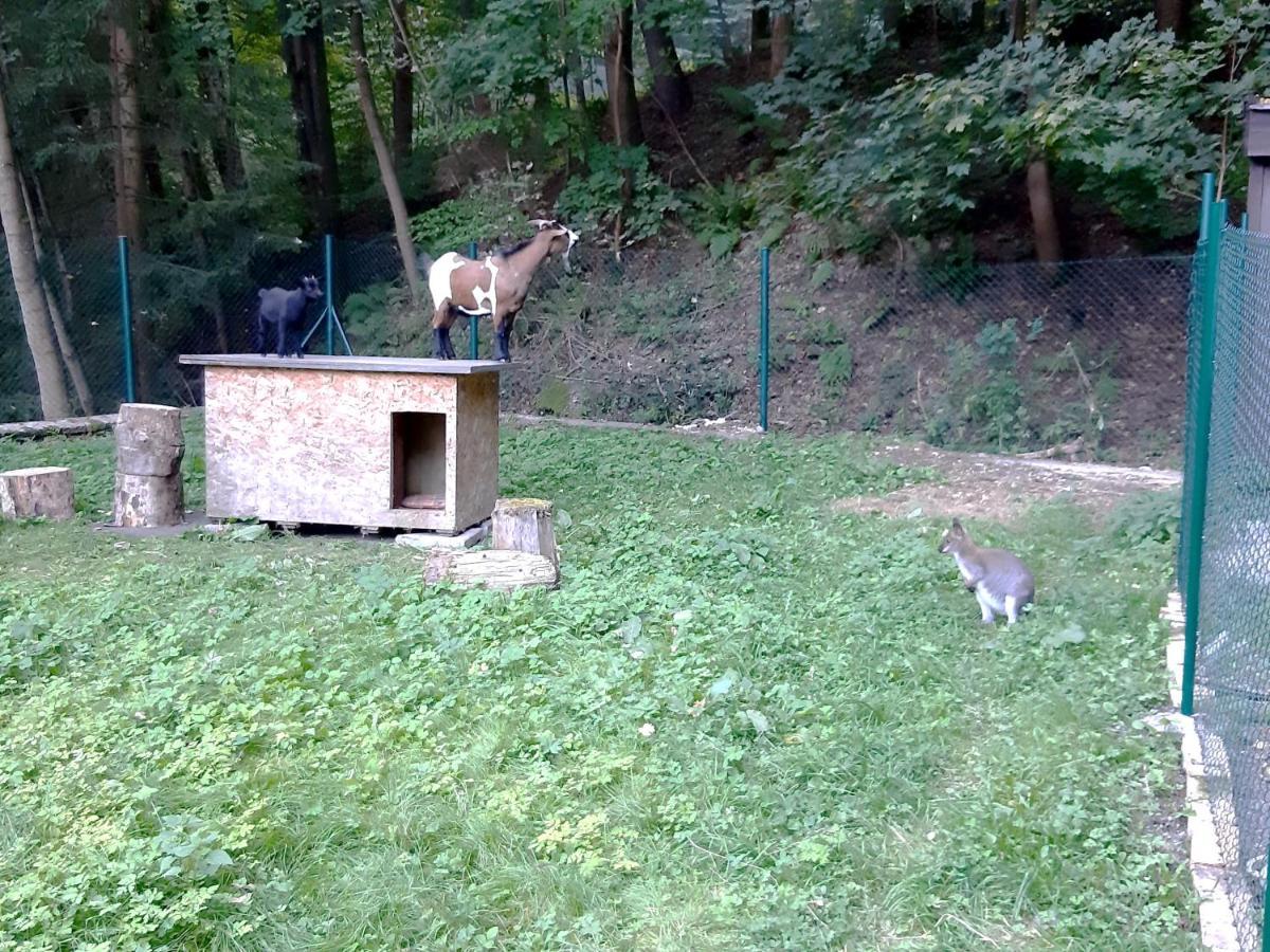 A Restaurace Belveder Romantico, Mini-zoo, Free Parking Guest house